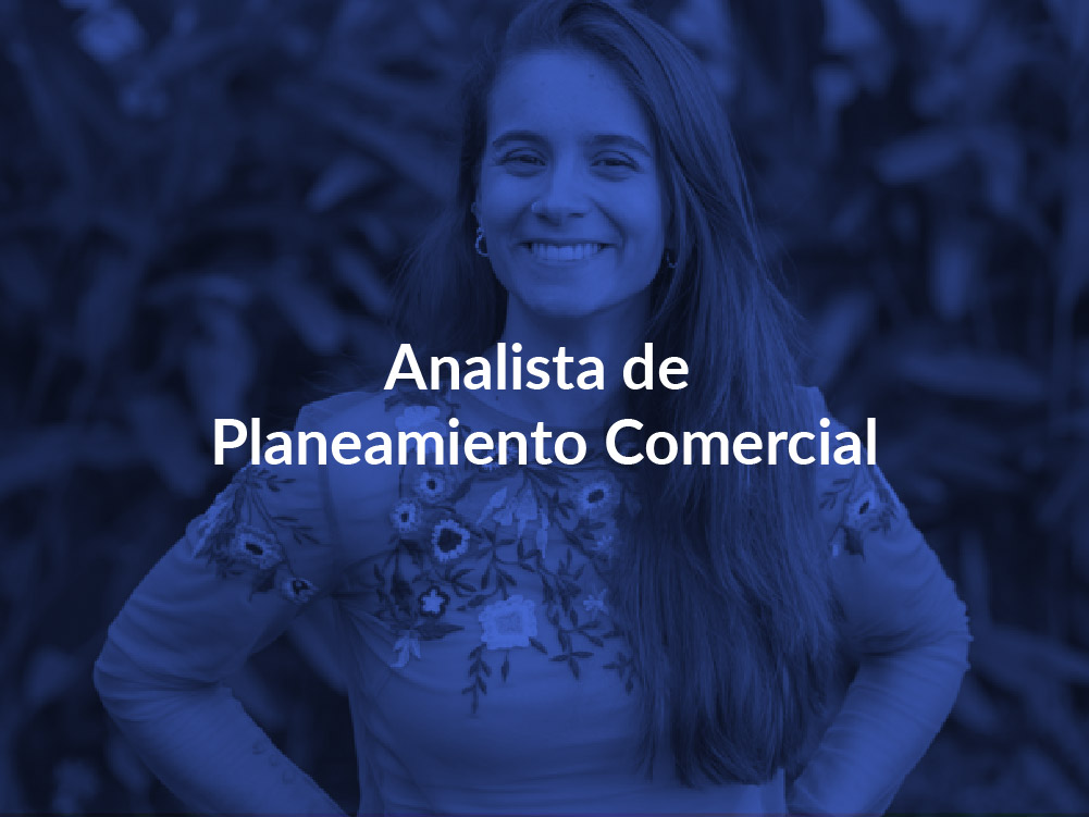 Analista de Planeamiento Comercial